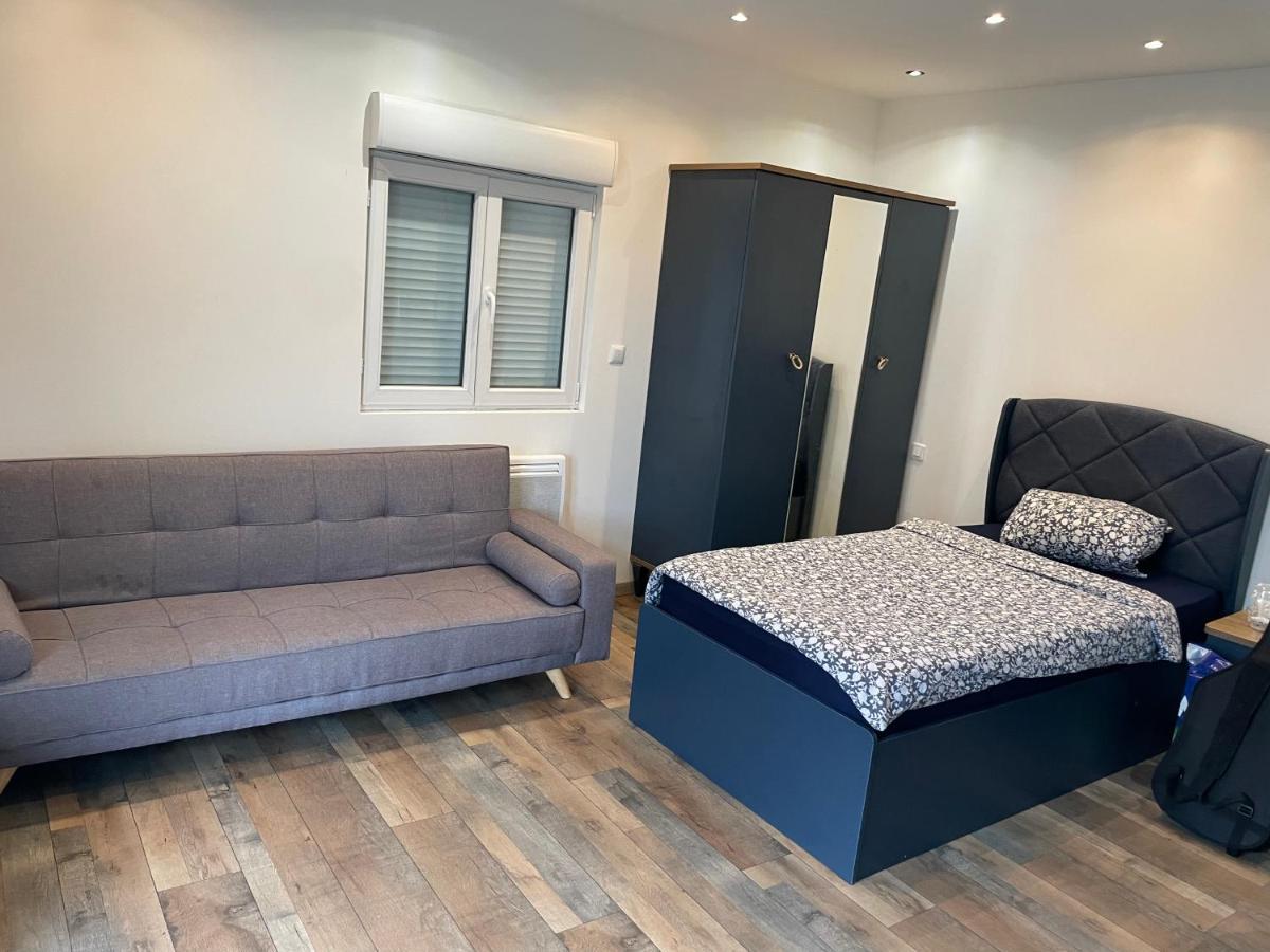 Studio 23 M2+Wifi +Parking Prive Oullins Exterior foto